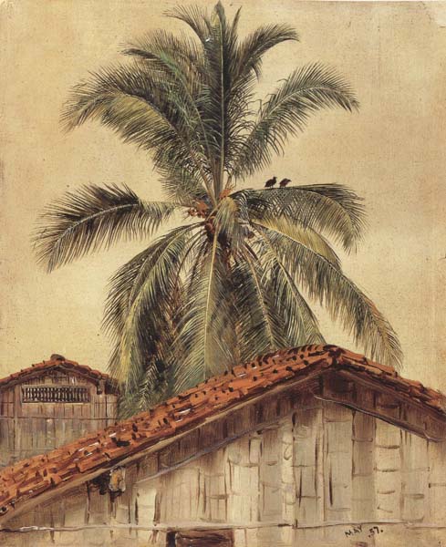 Palm Tres and Housetops,Ecuador